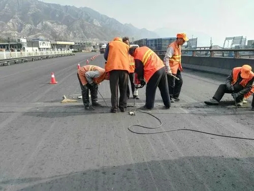 贡山道路桥梁病害治理